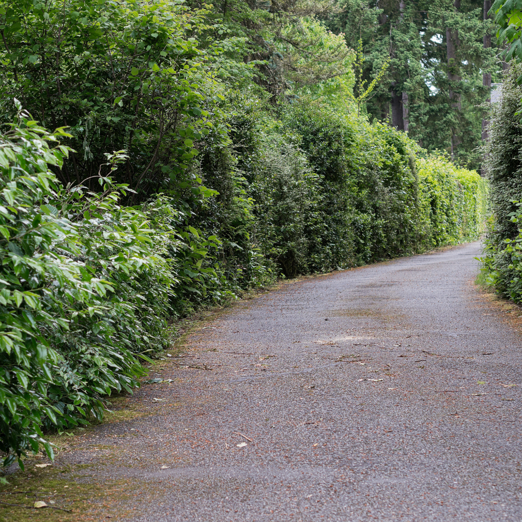 Quality Tarmaced Driveway by WCD Bebington driveway company